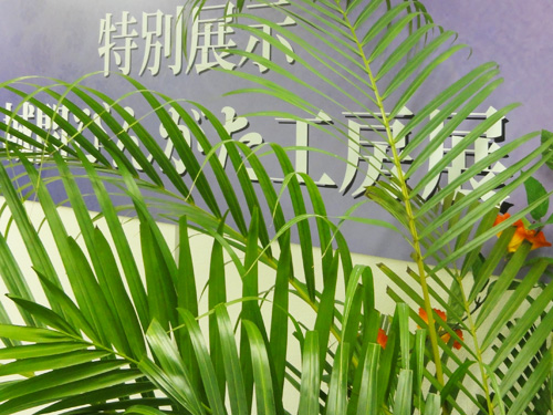 沖縄をイメージした特設展示ブース。
会場には沖縄の温かい雰囲気が漂います。