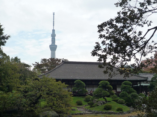 庭園よりスカイツリーを望みます。
